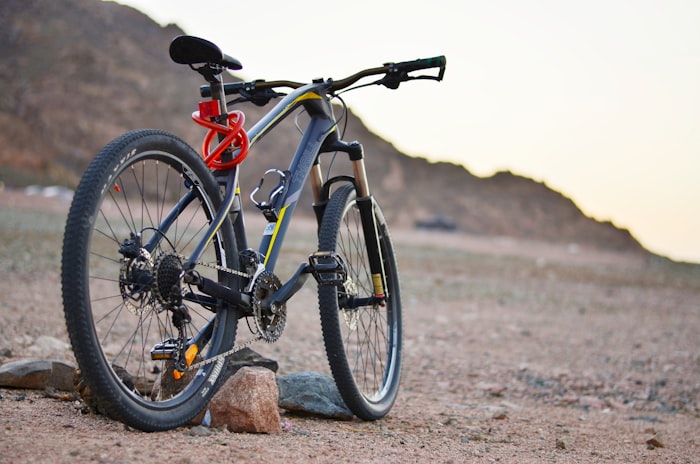 E-Mountainbike Forst eTrail 29
