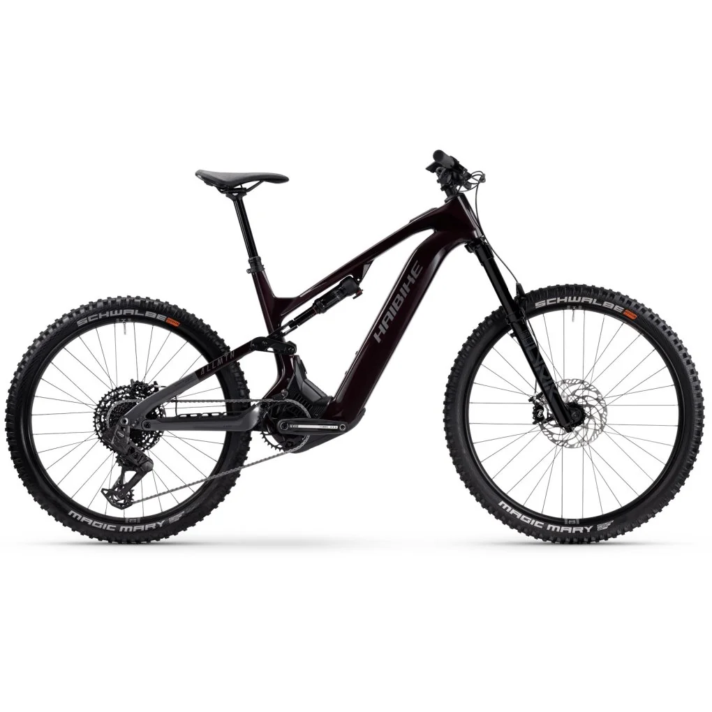 Haibike ALLMTN CF 9 Carbon E-Mountainbike 2025